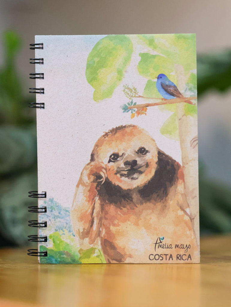 Libreta Oso Perezoso - Arte Amelia Mayo