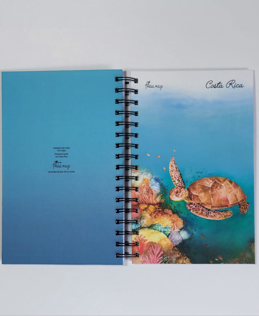 Libreta Tortuga Verde Marina - Arte Amelia Mayo