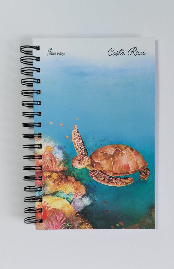 Libreta Tortuga Verde Marina - Arte Amelia Mayo