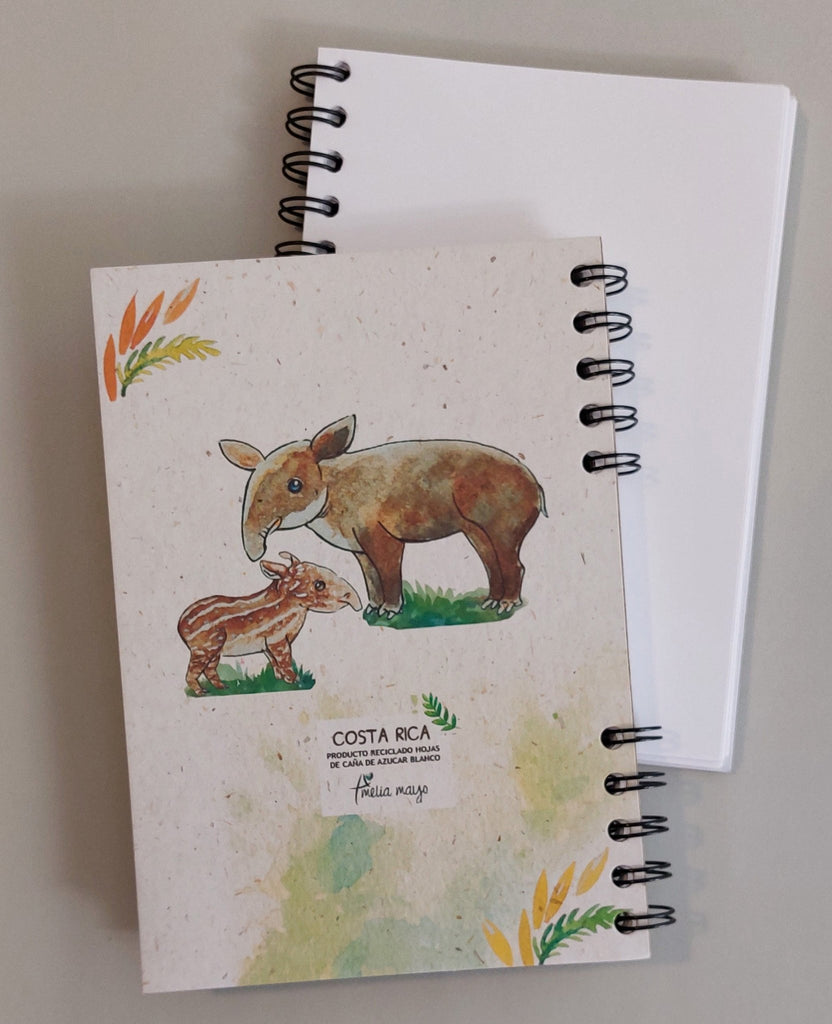 Libreta Dantas - Arte Amelia Mayo